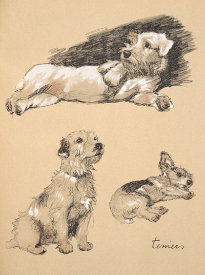 Terriers, 1930, Illustrations from his Sketch Book used for 